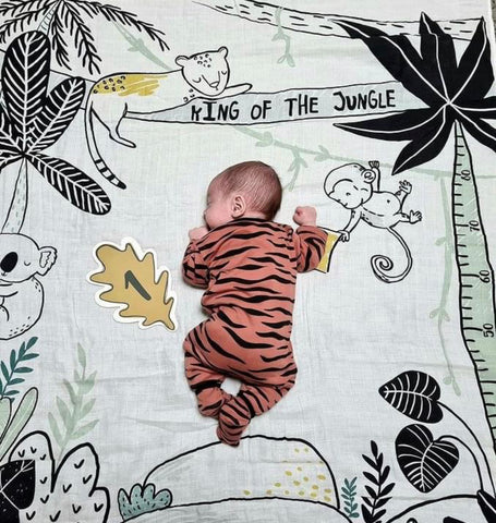 Extra large multipurpose Swaddling Muslin - king of the Jungle 👑